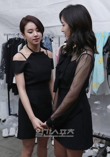 PARKMYOUI's tweet photo. #twice #mina #chaeyoung ♡ 
cr: 일간스포즈 https://t.co/hcmlvS7v4f