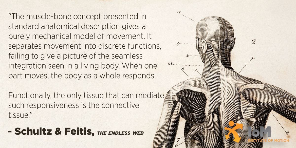 Het belang van bindweefsel en hoe praktisch integreren in oefentherapie. intelligentmotion.be/nl/workshops/d… #fysio #rehabaddict #rehab #prevention
