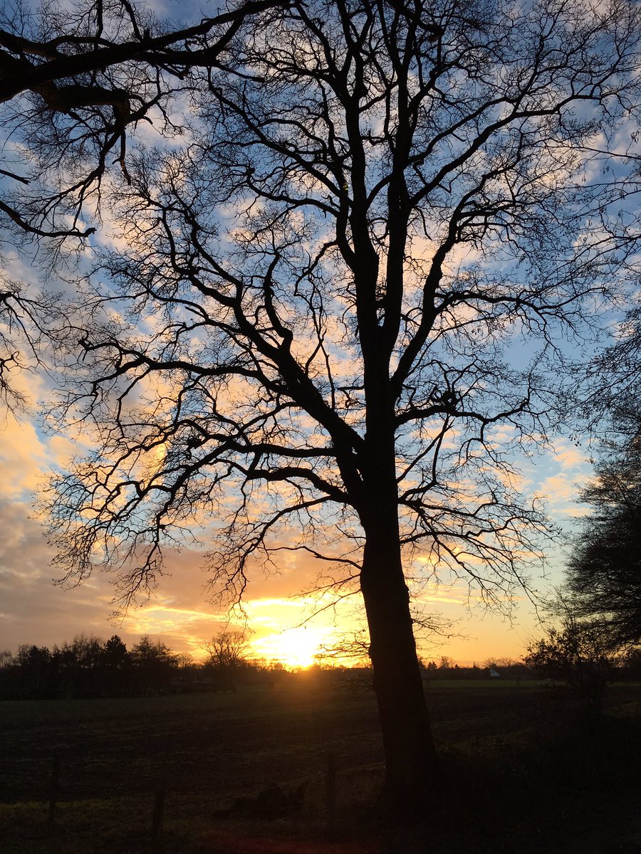 nathalieklapp's tweet photo. Beautiful Sunset ๐ #Sunset #Photography #Horseriding #WonderfulNature #GreatSunday #lovingtheweekends https://t.co/g25dS3K1Bo