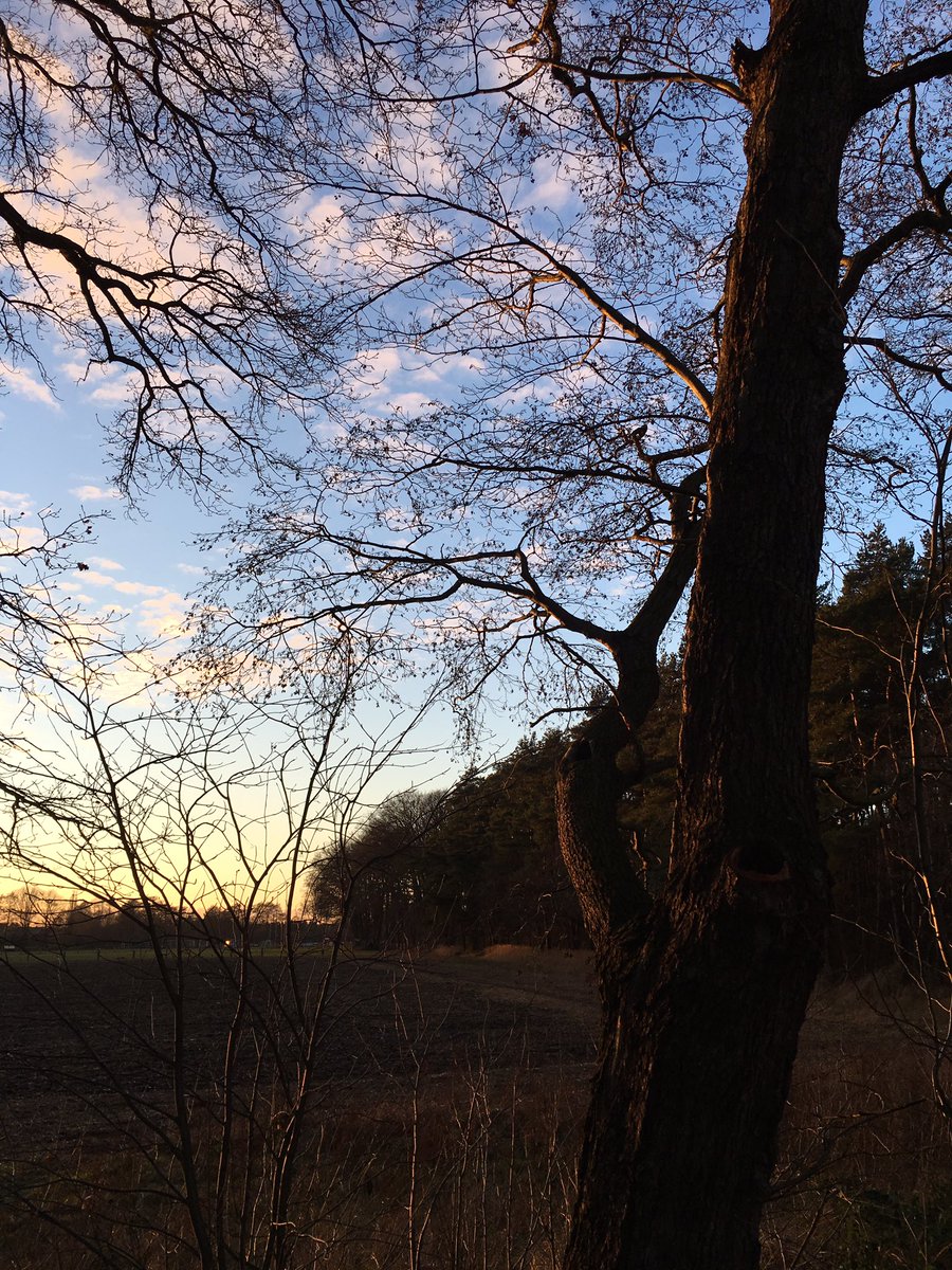 nathalieklapp's tweet photo. Beautiful Sunset ๐ #Sunset #Photography #Horseriding #WonderfulNature #GreatSunday #lovingtheweekends https://t.co/g25dS3K1Bo