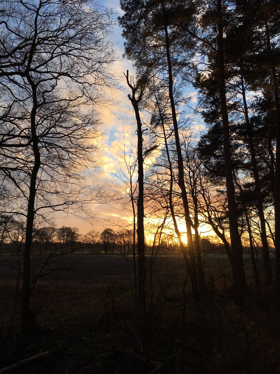 nathalieklapp's tweet photo. Beautiful Sunset ๐ #Sunset #Photography #Horseriding #WonderfulNature #GreatSunday #lovingtheweekends https://t.co/g25dS3K1Bo