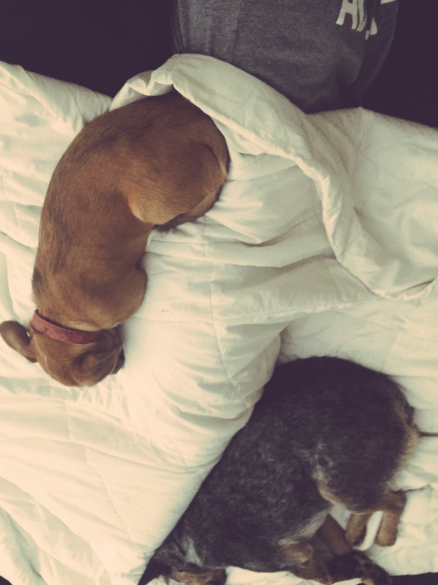 kimbercase3's tweet photo. I'd much rather sleep like shit all night than wake my babies up to move https://t.co/NFZVIj9Jlt