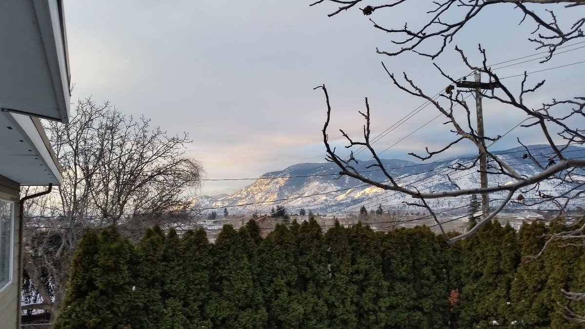 HavenHill Guesthouse tweet media