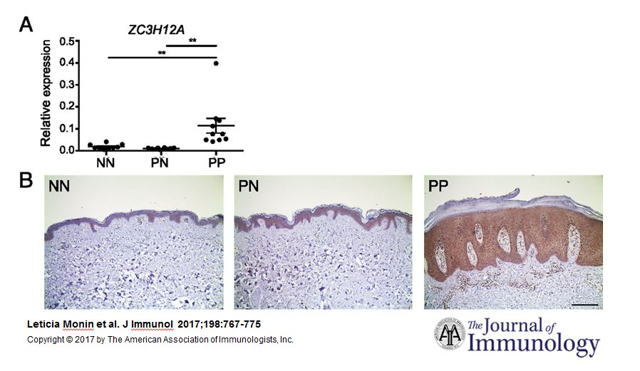 The Journal of Immunology tweet media