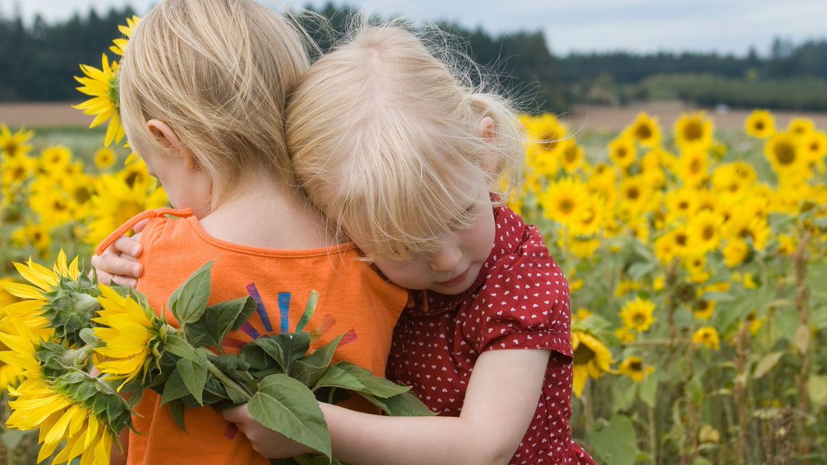 VisionCulture's tweet image. The well-being of any society is largely dependent on the moral health of its individual members. on.vision.org/2jyeK8d