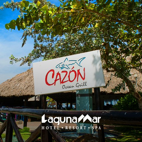 mlagunamar's tweet photo. Almuerza en el restaurant Cazón un pescadito al grill y se atendido por nuestro servicio de primera. https://t.co/KdRdLyg64l