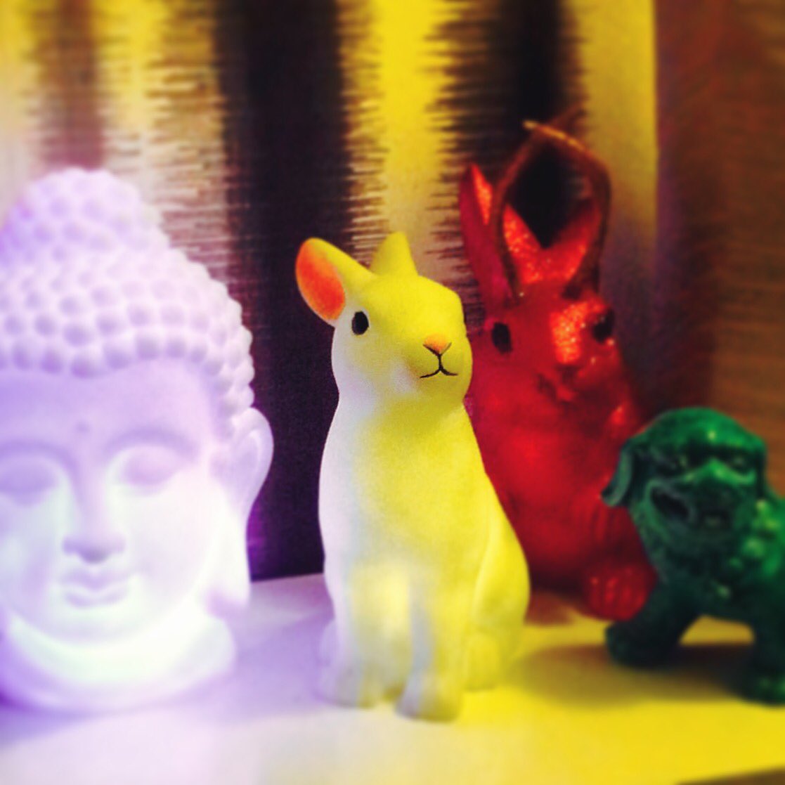 LynneMantle's tweet photo. Easter will be here soon #bunnys https://t.co/pgVtI0XyKf