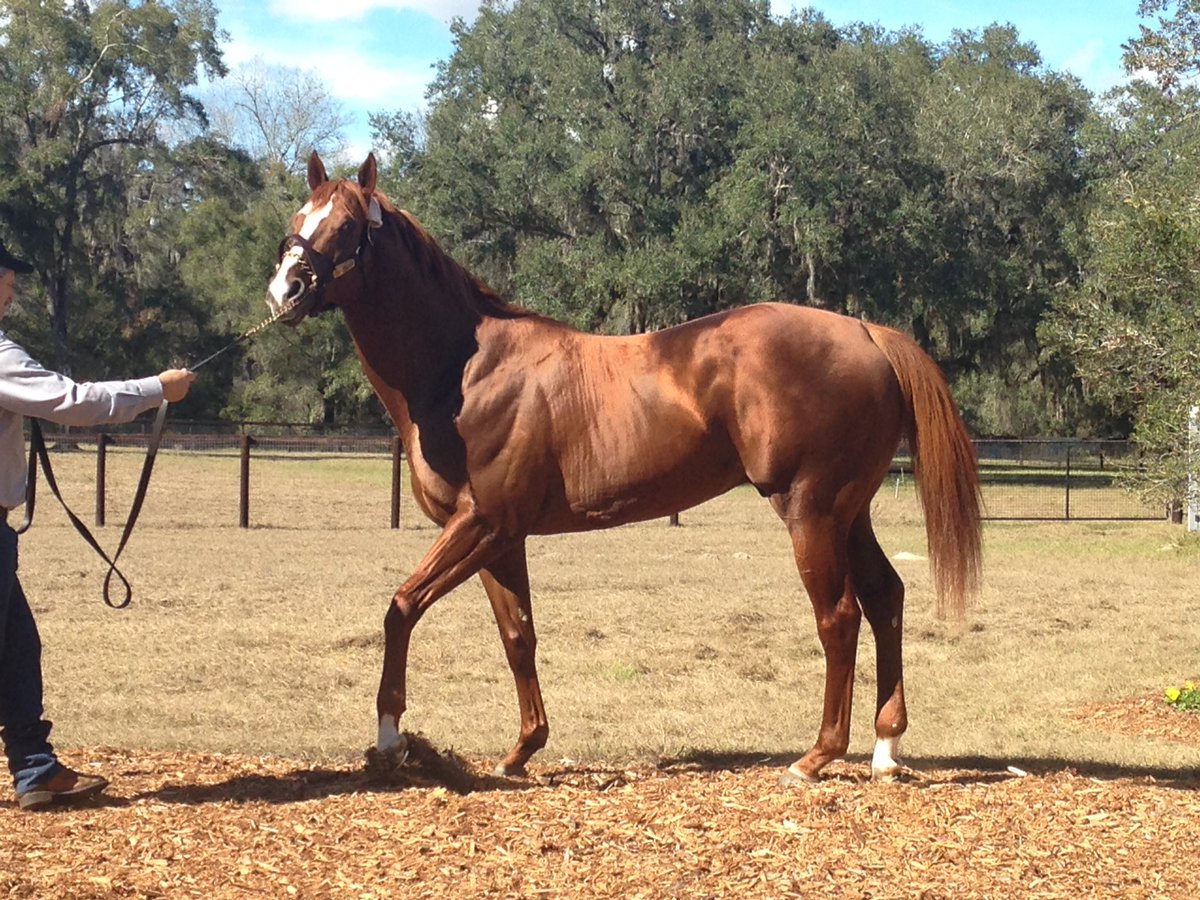 Visiting Field Commission <a href="/solerafarm/">Solera Farm</a> looking Fantastic