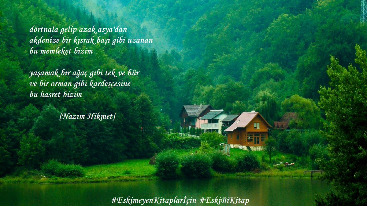 "dörtnala gelip azak asya'dan 
akdenize bir kısrak başı gibi uzanan 
bu memleket bizim"

[Nazım Hikmet]