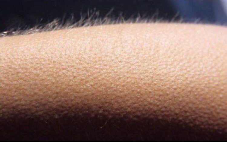 ally_zzzzz's tweet photo. When bae says it's time for Hoagie Haven https://t.co/j6aCItKR34