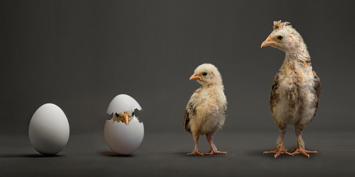 sebbourguignon's tweet image. [#Startup] La France a maintenant trop d’#Incubateurs via @Challenges sebastienbourguignon.com/2016/11/28/sta…