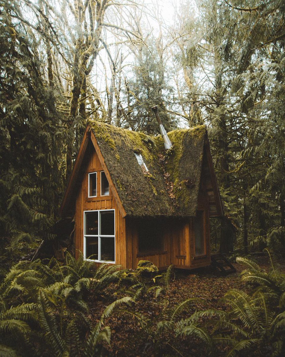 earth's tweet photo. I want to live in the forest. https://t.co/ldphy79CbS