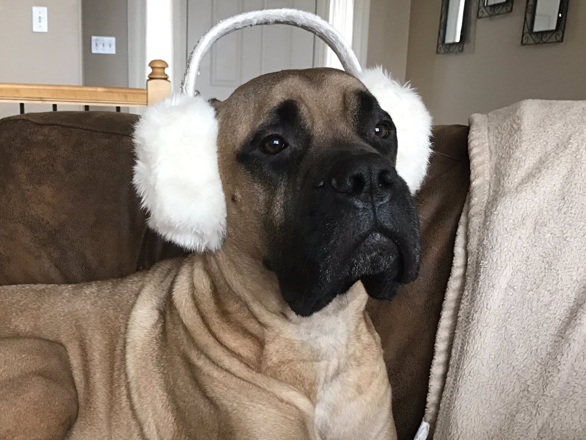 BrunoKilmer's tweet photo. "Ice storm" got me like... 

#icestorm2017 #icestormjupiter #wheretheiceat https://t.co/PCFYaw70nC