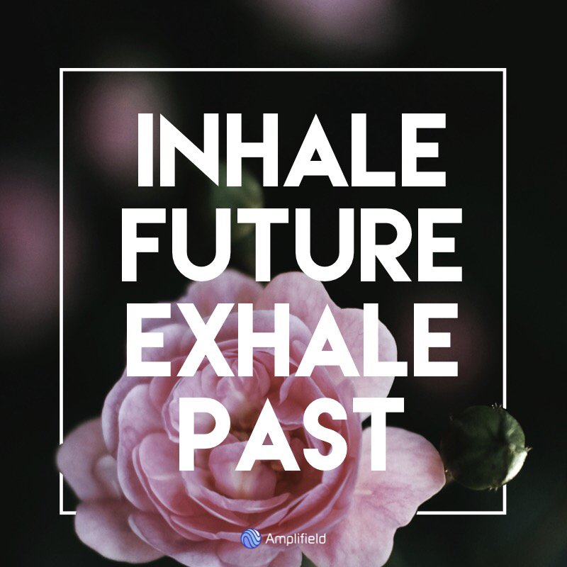 mplifield's tweet photo. Breathe... https://t.co/1E1v9rORNc