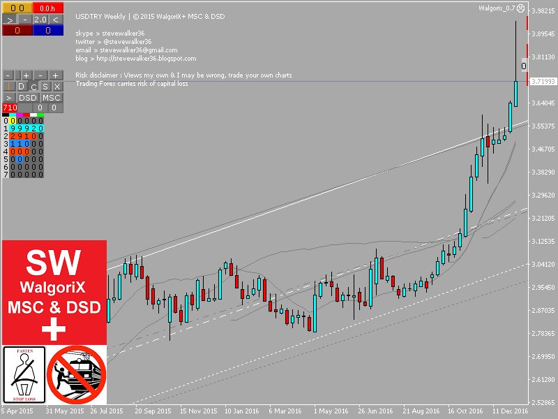 Msc forex trading