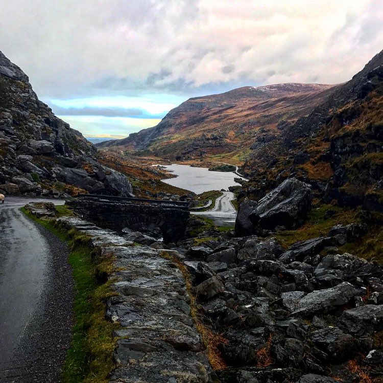AvalancheDes's tweet photo. It's official, #Kerry is the most beautiful county in #Ireland 💚👑 https://t.co/9rwSlUuh4H