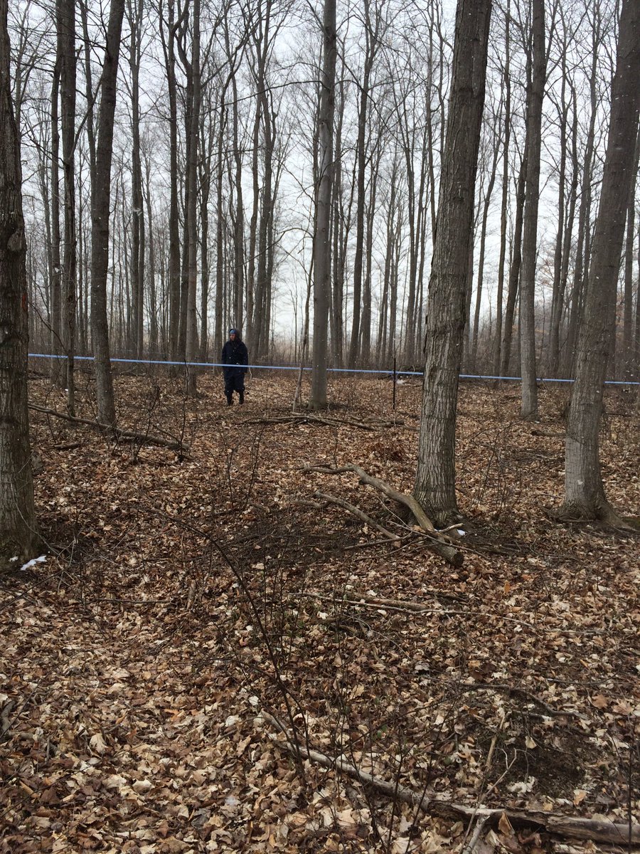 fortrosemapleco's tweet photo. Syrup season is quickly approaching! We start pancake brunches February 25th! #markyourcalanders #ontario #maplesyrup #supportlocal https://t.co/thLm02Kxyq