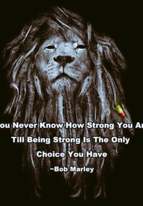 cameron_conesha's tweet photo. One love tweeter peeps up up https://t.co/D6o9mNBdPE