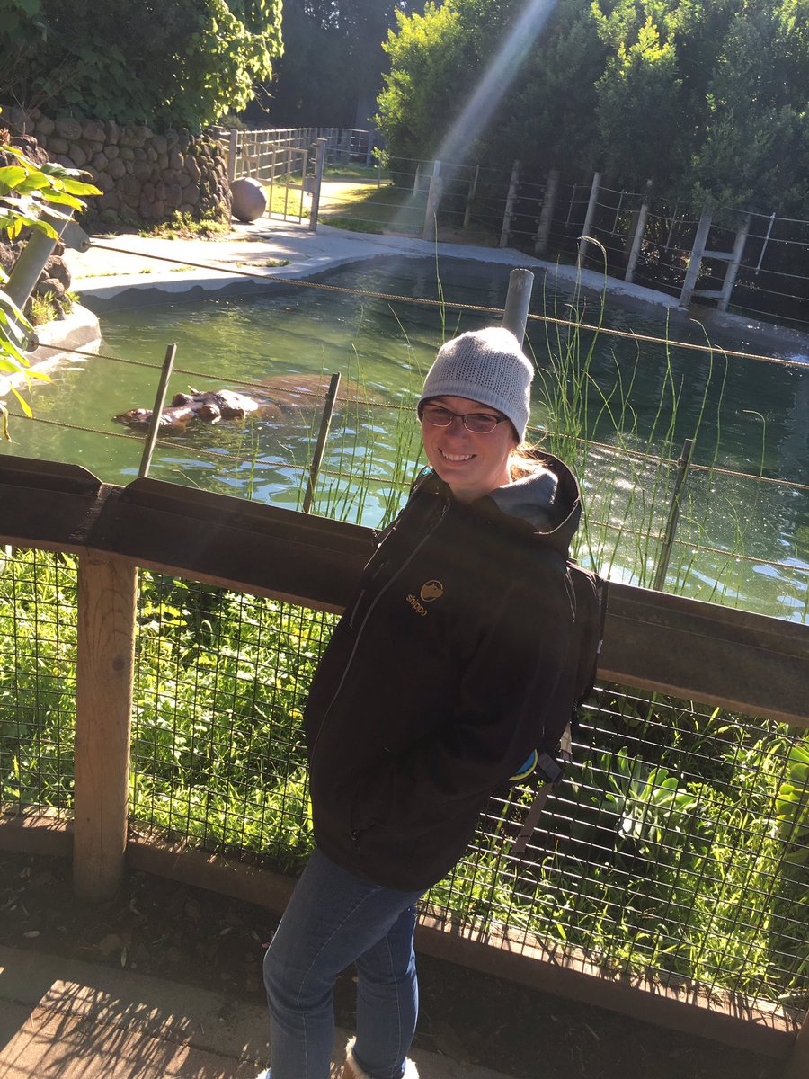 norcalmal650's tweet photo. Found me a hippo! #shippogram https://t.co/Zbm39IKiZN