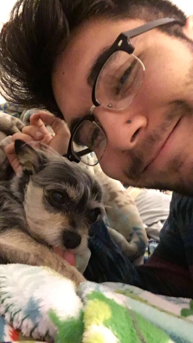 Armandakins's tweet photo. here's me with a bunch of dogs https://t.co/Ob2rO9U2td