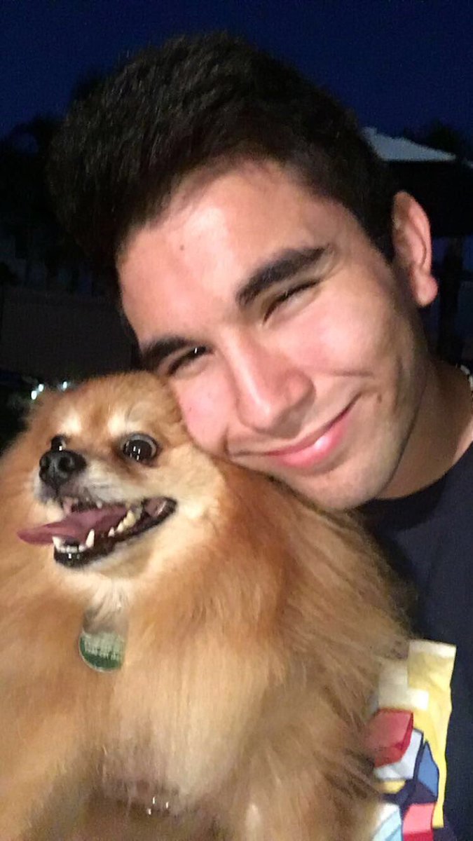 Armandakins's tweet photo. here's me with a bunch of dogs https://t.co/Ob2rO9U2td