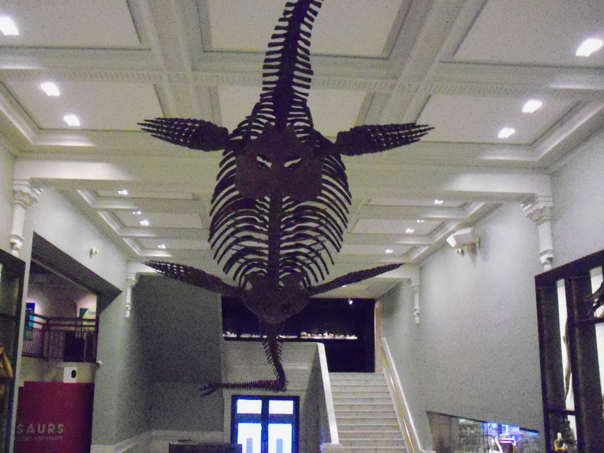 PaleoDW's tweet photo. On Martin Luther King Day, I'll be volunteering at the Academy of Natural Sciences Museum (Phila. PA) speaking to school groups and visitors https://t.co/VddH0Nnp4e