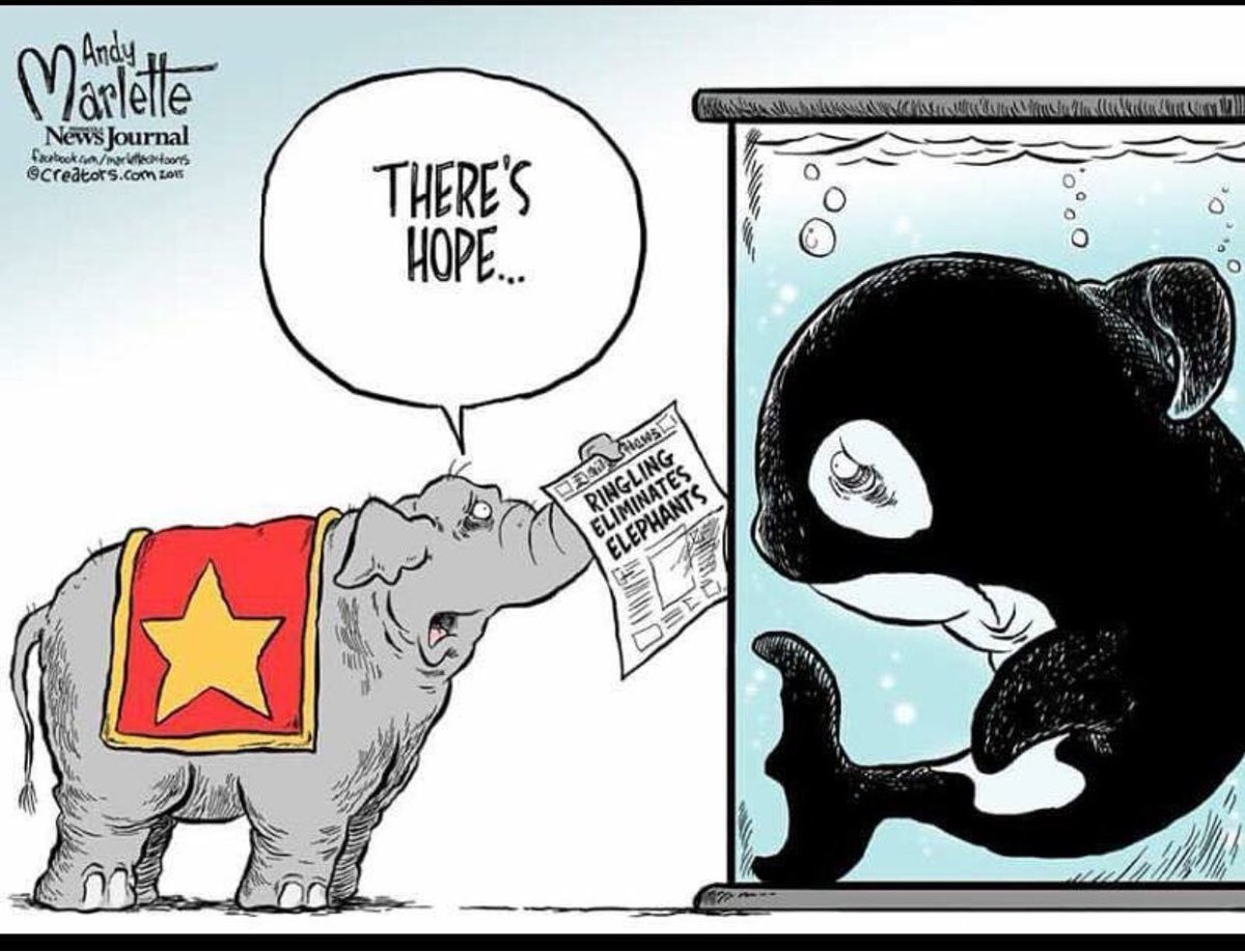 TrutherUfo's tweet photo. #Finally Ringling Bros. Circus Will Close After 146 Years! https://t.co/ojA8Uw2jjy via @World Animal News #EndAllZoos #EmptyTheTanks https://t.co/Ir0PIlZrC7