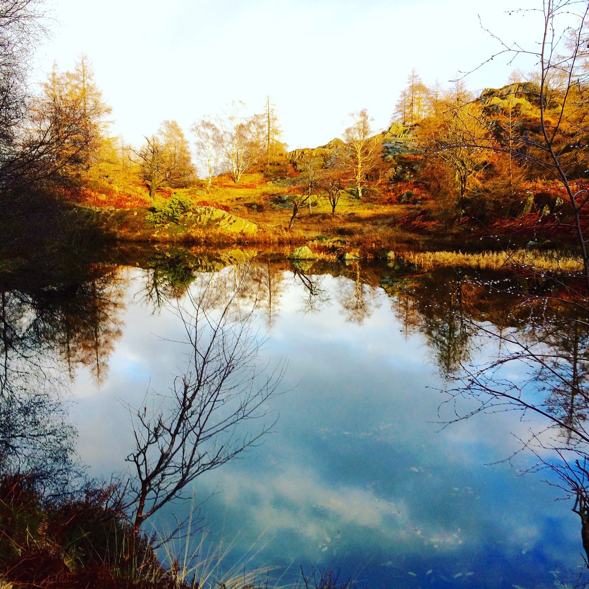 SwimtheLakes's tweet photo. Hunting for #secretswim spots today and got lucky:) Love #tarnswimming https://t.co/0Ka9z16n13 https://t.co/c5TPdZkT9M