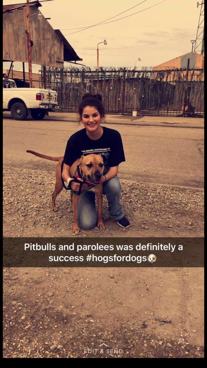Tina_Ritaaaa's tweet photo. Pittbulls and parolees β€οΈπΆ #hogsfordogs https://t.co/3trNYAFfei