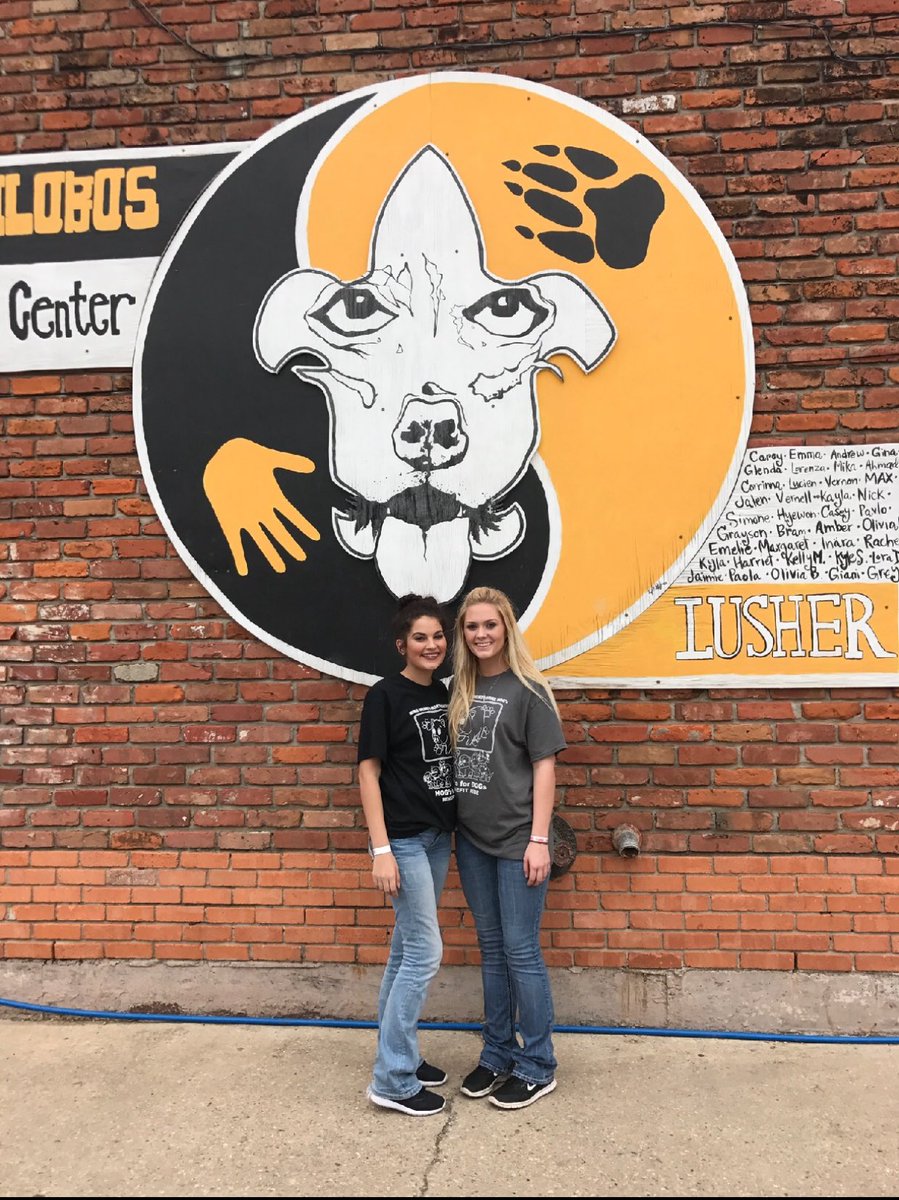 Tina_Ritaaaa's tweet photo. Pittbulls and parolees β€οΈπΆ #hogsfordogs https://t.co/3trNYAFfei