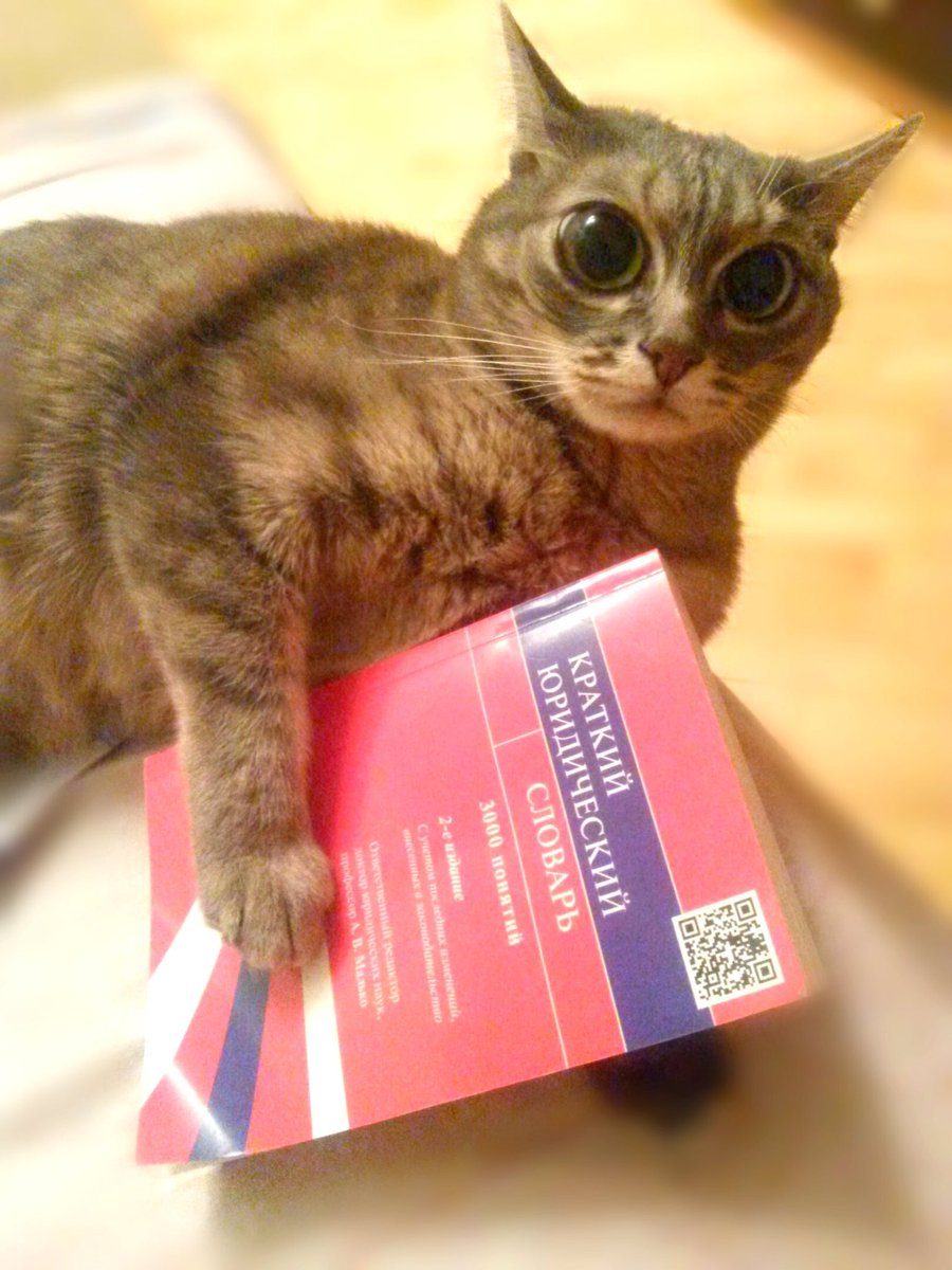thespiteabsence's tweet photo. Меньше 10 часов до региона...... https://t.co/8UODmd7GbP