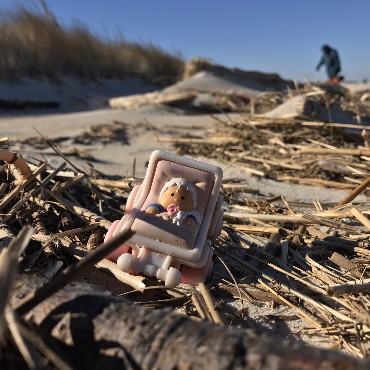 PlasticStrands's tweet image. Baby with the Bathwater is #plastic pollution removed from #cranebeach in #Ipswichma on our 15Jan17 #beachclean