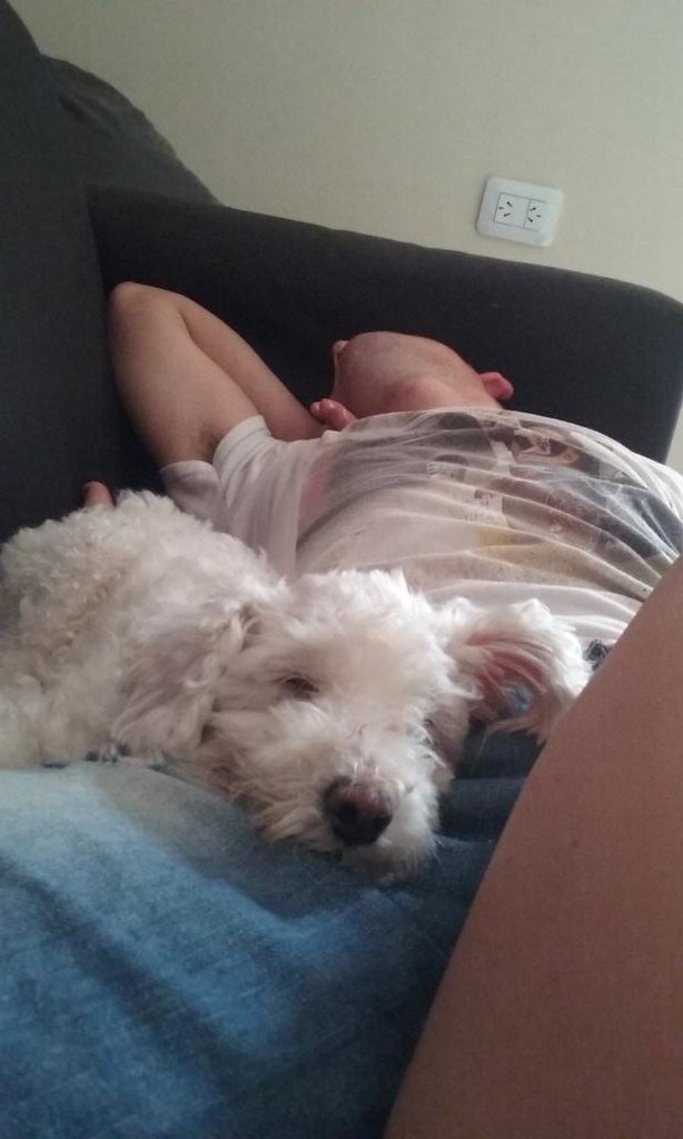 Cami_Czapla's tweet photo. Y dormimos asi.. todos doblados y encimados pero felices 😍 https://t.co/hkziSfeXvG