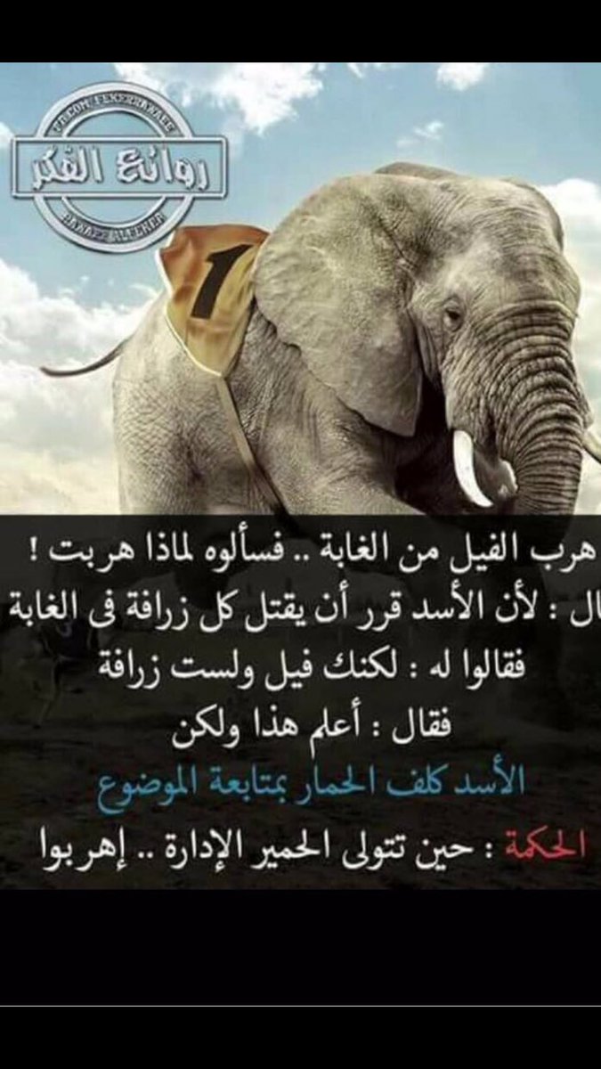 yemen now (@orpmq684s1euubo) on Twitter photo 