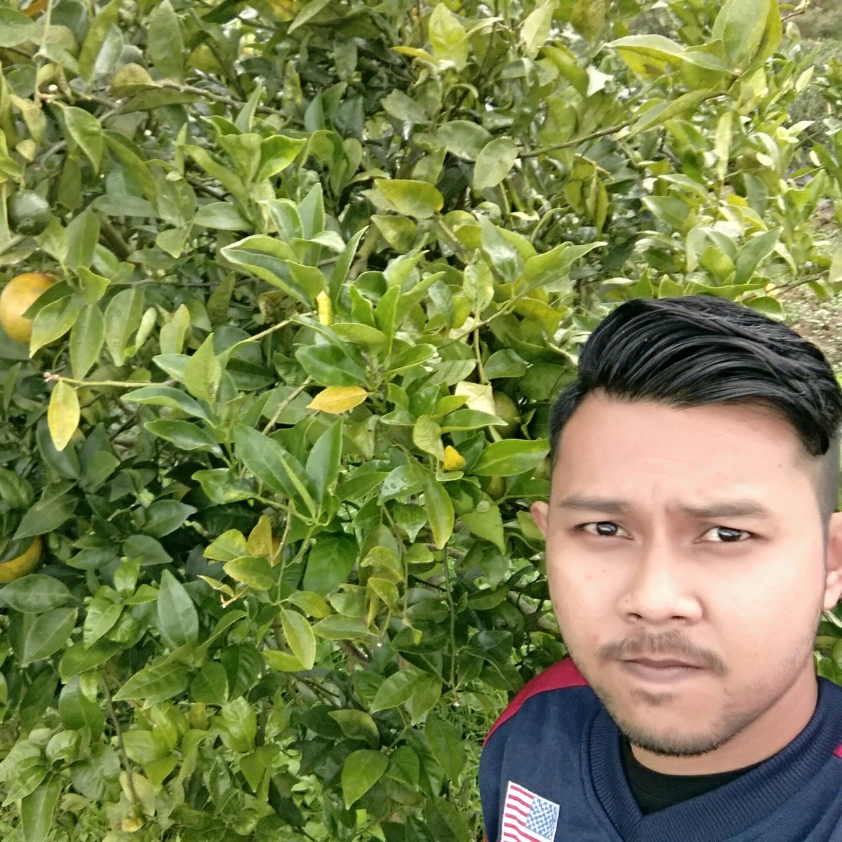 latiful_alfa's tweet photo. #NewProfilePic https://t.co/PuDO0qt5rL