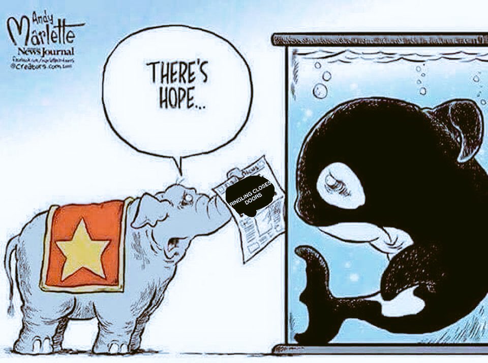 Dear Captives at <a href="/SeaWorld/">SeaWorld</a>, 

We see you. 
 We care.
   We are sorry.
We are trying..

Sincerely,
 Humanity

#Blackfish
#RinglingBrosCircus
