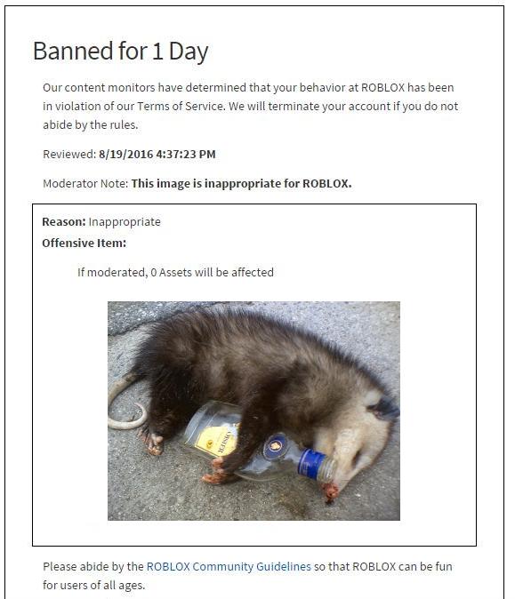 ShitpostBot 5000 (@shitpostbot5000) on Twitter photo 