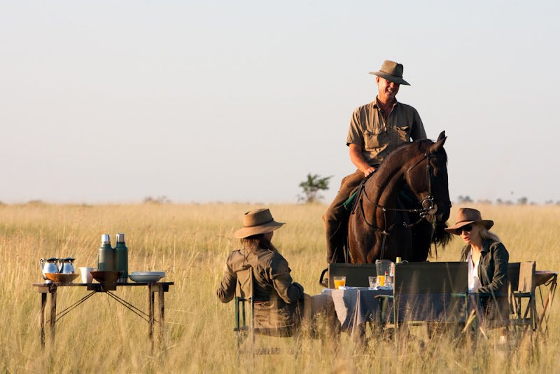 AliceGully's tweet photo. Botswana riding safaris - how well do you need to ride to join? https://t.co/UUA1zfgcKB #EquineHour #HorseChat https://t.co/74FrwKkuwn