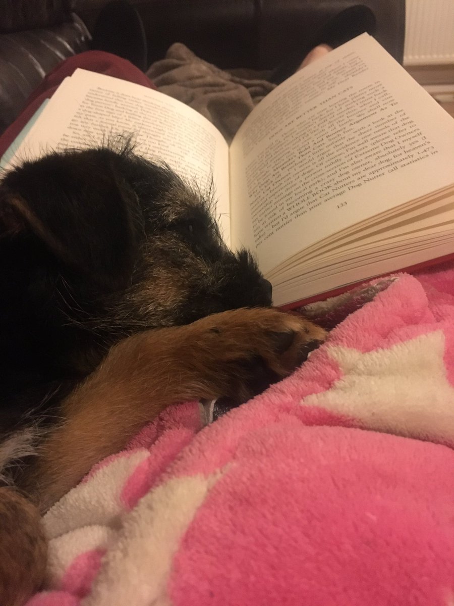 zoebrown77's tweet photo. Someone enjoys reading @mermhart Peggy and Me as much as I do! Except I can't turn the page #pickle #slowreader https://t.co/3dx6XmkQVH