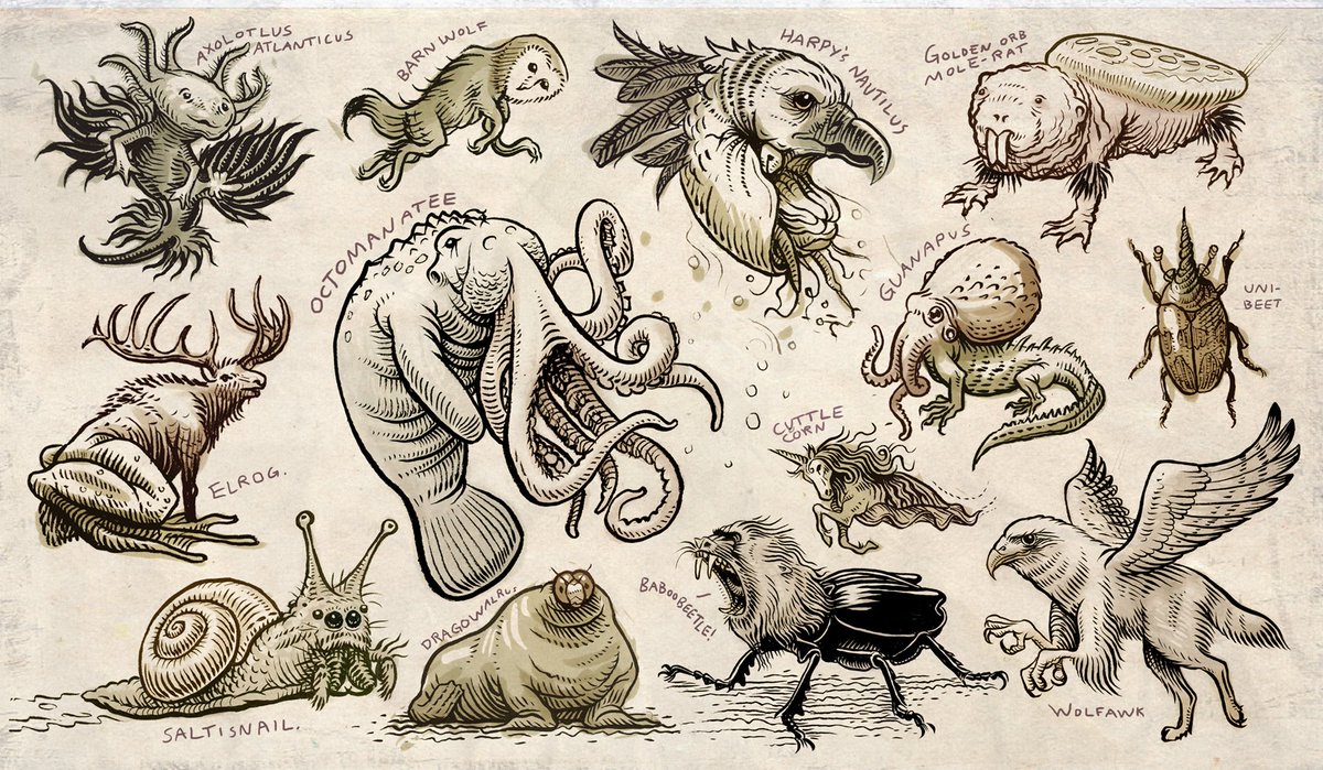wallpapers Lots Of Animals Together Drawing thomas shahan on twitter alright i
