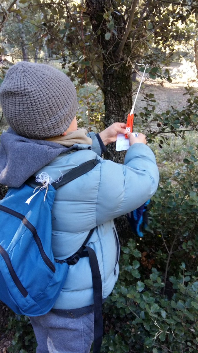 tyrower's tweet photo. Radio orienteering of a Sunday morning in the South of France #TopoRadio #ARV84 #Mistral #HamRadio #ARDF https://t.co/GixRkbR0pz
