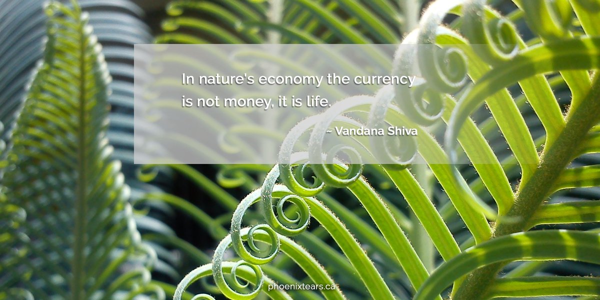 Simpson_Rick's tweet photo. #Nature nurtures #life,trust it.#SimpsonRamaDur #RickSimpson #NaturalMedicine #CannabisMedicine #NaturesAnswerForCancer #TheRickSimpsonStory https://t.co/RSrZiIifIS