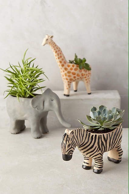perfectlivingco's tweet photo. Planters #HomeDecor #cute #interiordesign #PerfectLiving π https://t.co/tgtV8blV19