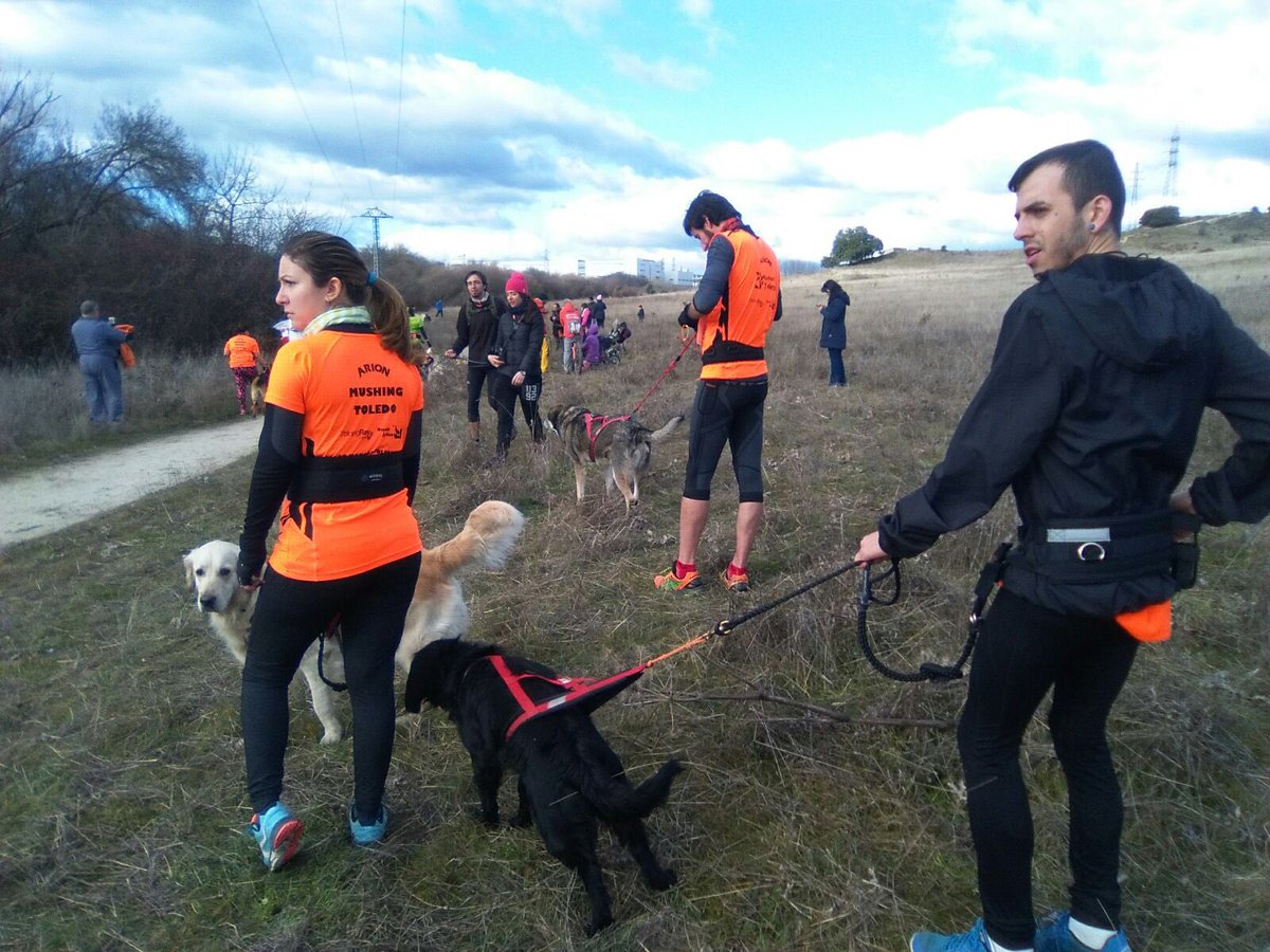 #TresCantos ha acogido la primera prueba de la Copa de Madrid de Mushing.Organizado por Club Tricantino de Mushing <a href="/canicross_3c/">Tricantino Canicross</a> 
Felicidad!