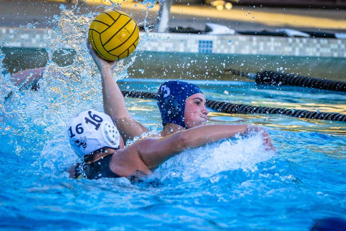 NVR_Sports's tweet photo. Powerful pool of talent: The 2016 All-Napa County Girls Water Polo Team https://t.co/WuEoWCmdfx https://t.co/cN9Xus7Zhv