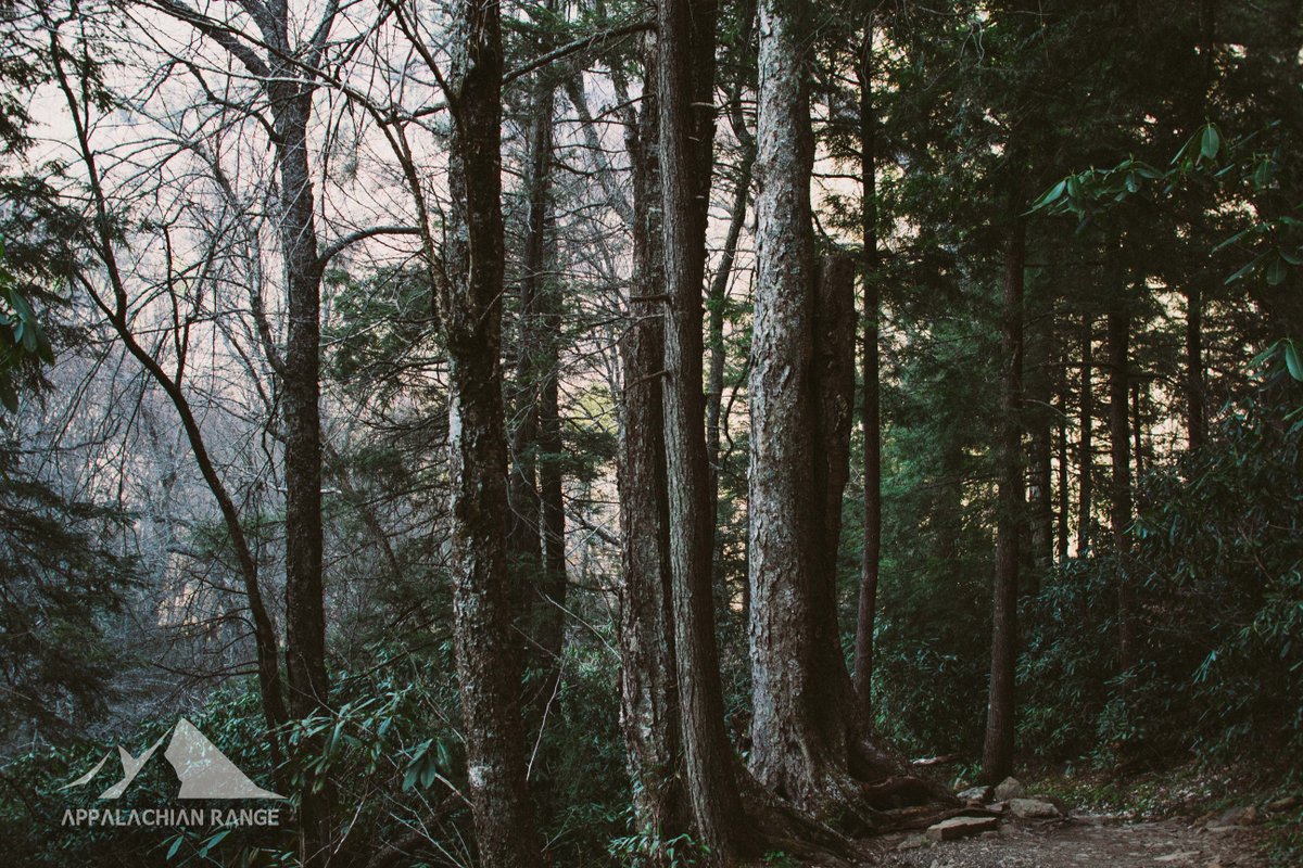 AR_Outdoors's tweet photo. “One touch of nature makes the whole world kin.” -John Muir #appalachianrange #passionpassport #NeverStopExploring #OptOutside https://t.co/jPkCqR6gUj