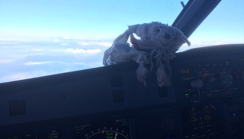 LinkyBird's tweet photo. Reuniting lost bear with its young owner #GetShackletonHome https://t.co/6jmMNLZTAy https://t.co/mRLf14wtT8