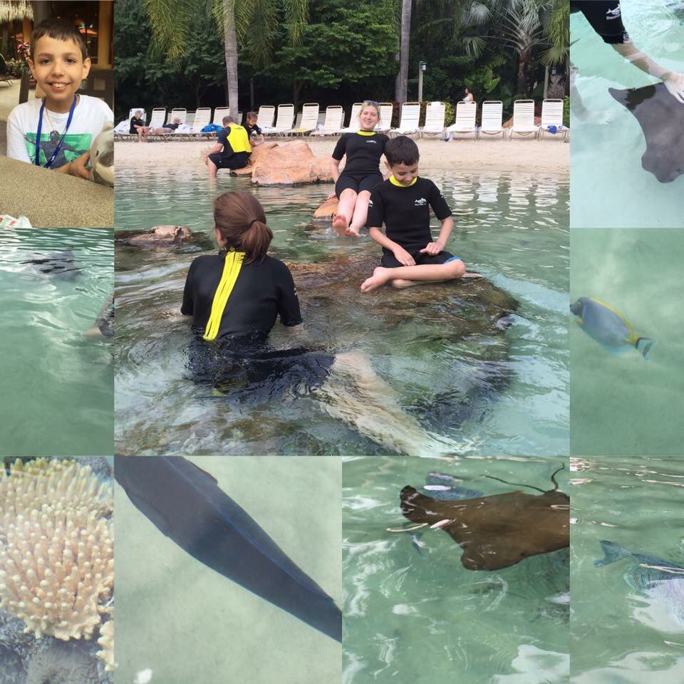 Michael and his family had the best time at Discovery Cove swimming with the dolphins! #24club #januaryfeaturefamily <a href="/TheRealCally24/">Ryan Callahan</a>