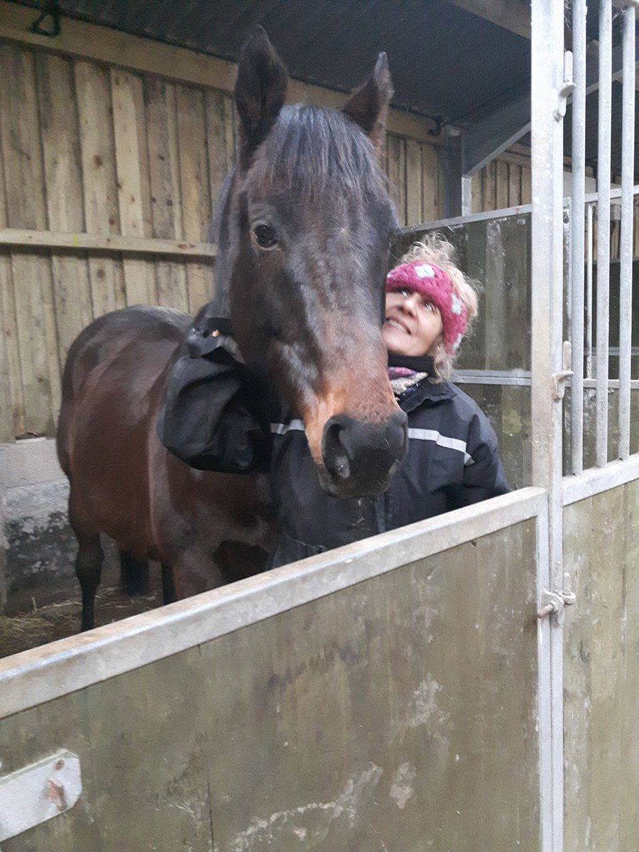RRHCentre's tweet photo. Munsef (Michael) shared a few tender moments with volunteer Lyn before he made his way to his new home yesterday ❤️ https://t.co/B25i8X75bM