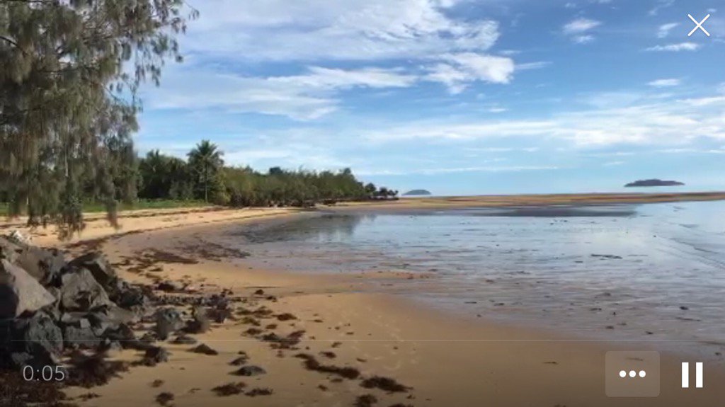 PrattsN's tweet photo. .@ilubphotography on #Periscope: Kurrimine Beach water like glass #australia #travel #hotho… https://t.co/IAgGar62sL https://t.co/Jwf1vruYoi
